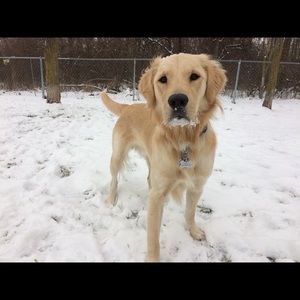 Meet your Posher, Danielle